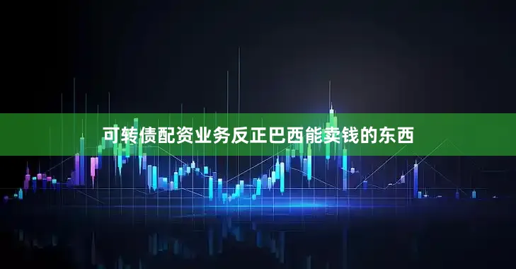 可转债配资业务反正巴西能卖钱的东西