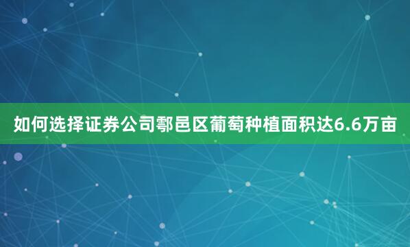 如何选择证券公司鄠邑区葡萄种植面积达6.6万亩